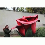 LA ROSA CENTRO ESTETICO