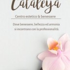 cataleya